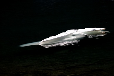 Ice floating in Iceberg Lake
