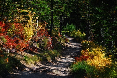 Along Trail to Iceberg Lake
