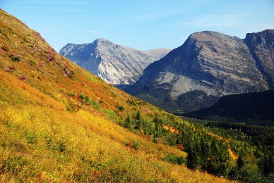 Along Trail to Iceberg Lake